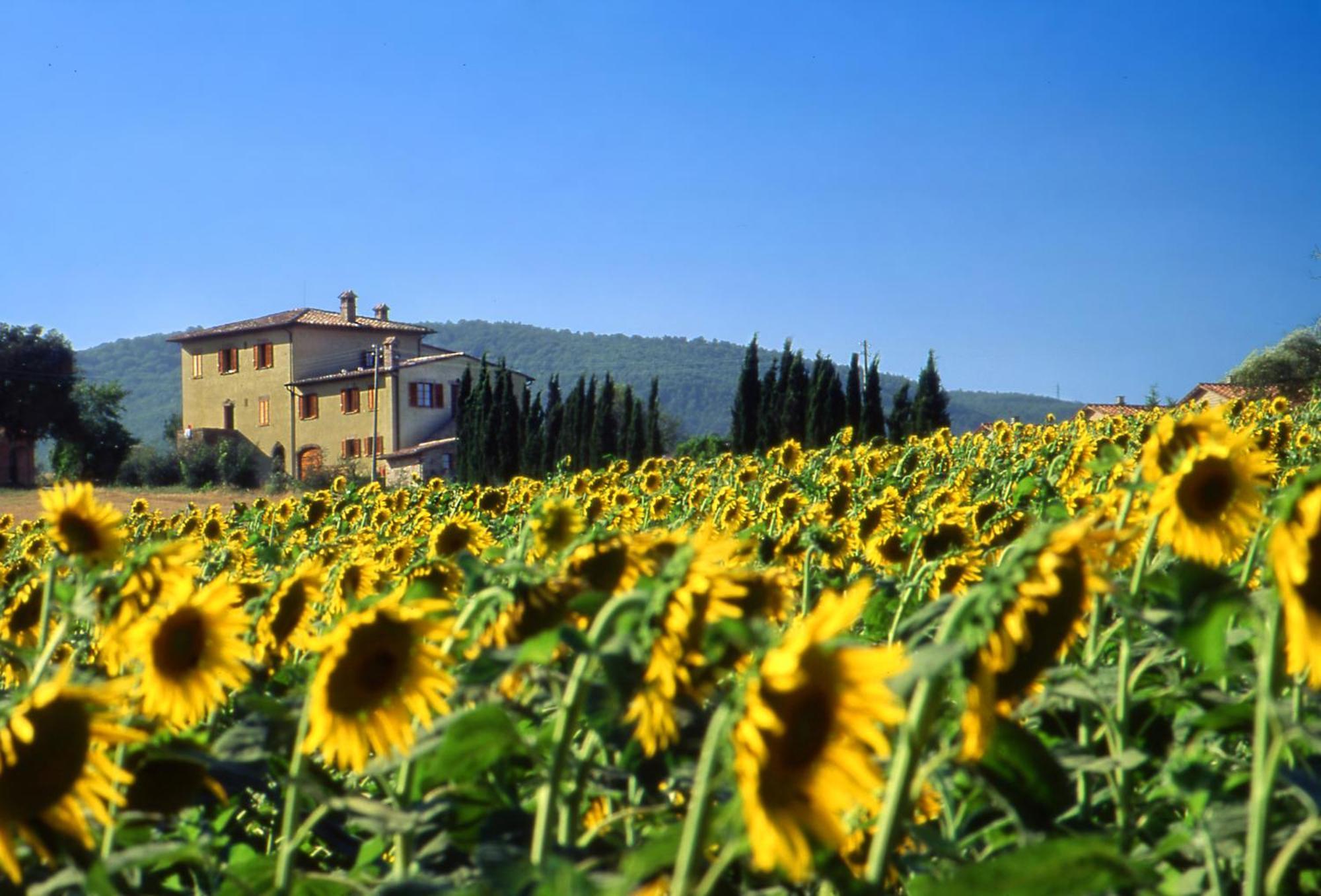 Agriturismo Palazzo Bandino - Wine Cellar, On Reservation Restaurant And Spa เคียนเชียโนแตร์เม ภายนอก รูปภาพ